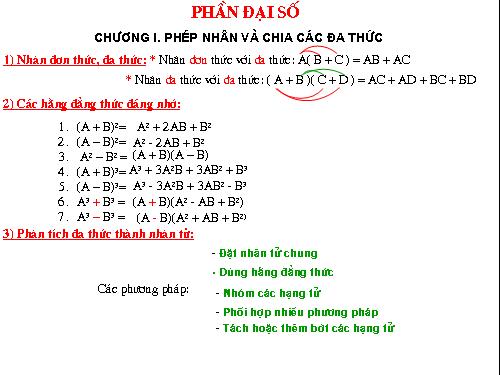 Các bài Luyện tập