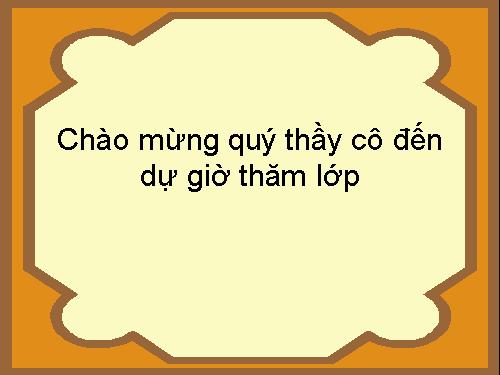 Các bài Luyện tập