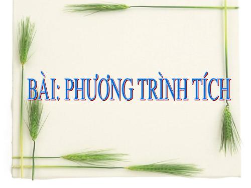 Chương III. §4. Phương trình tích