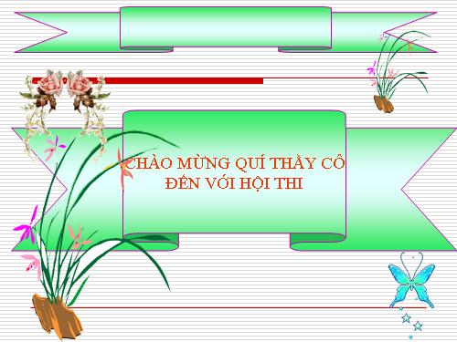 Các bài Luyện tập