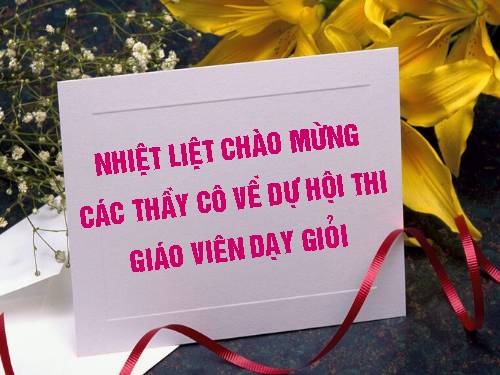 Các bài Luyện tập