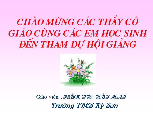 Các bài Luyện tập