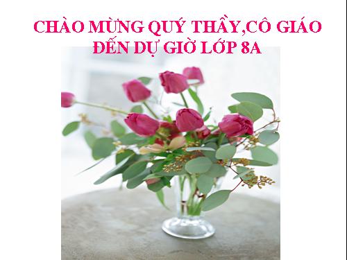 Chương II. §5. Phép cộng các phân thức đại số