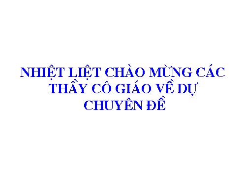 Chương II. §8. Phép chia các phân thức đại số