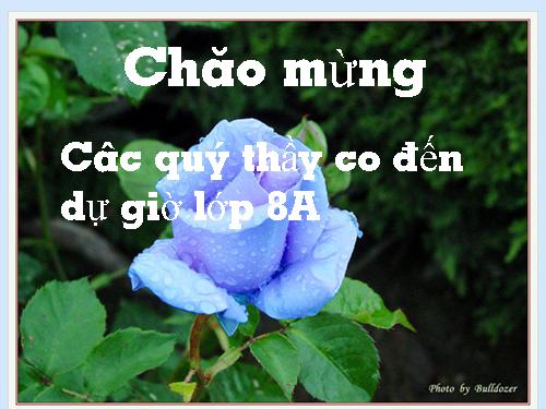 Chương II. §3. Rút gọn phân thức