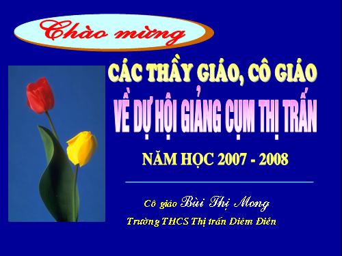 Chương II. §8. Phép chia các phân thức đại số