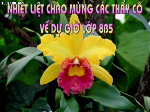 Chương I. §8. Phân tích đa thức thành nhân tử bằng phương pháp nhóm hạng tử