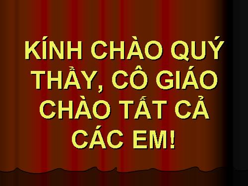 Các bài Luyện tập