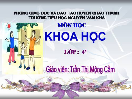 Bài 18 - 19. Ôn tập: Con người và sức khoẻ