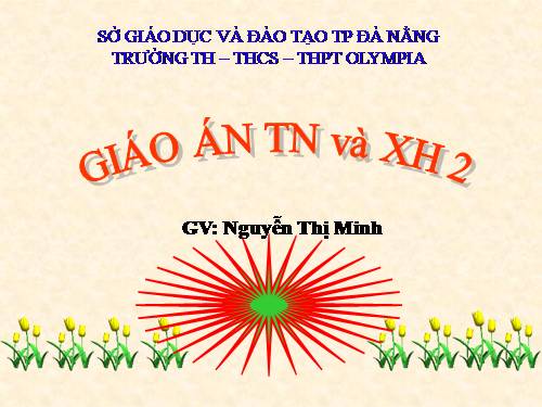 Bài 6. Tiêu hoá thức ăn