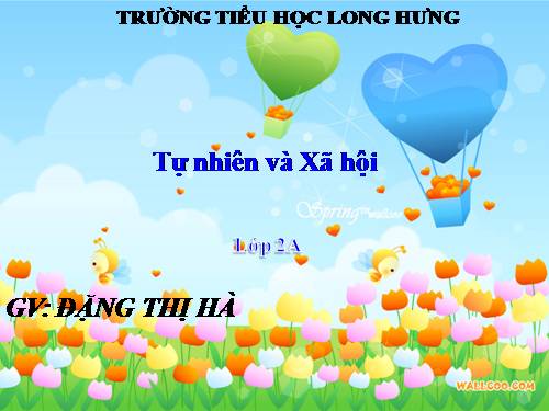 Bài 9. Đề phòng bệnh giun