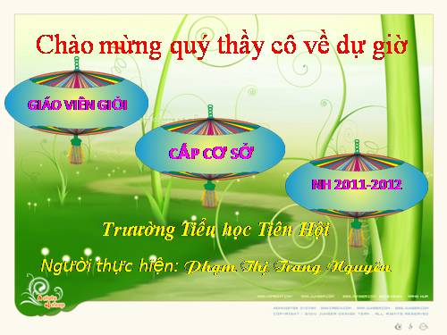 Thực hành tổng hợp