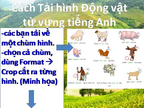 Cách làm từ vựng tiếng Anh về động vật