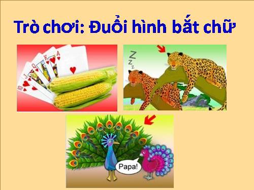 TC; ĐUỔI HÌNH BẮT CHỮ (SỐ 1)