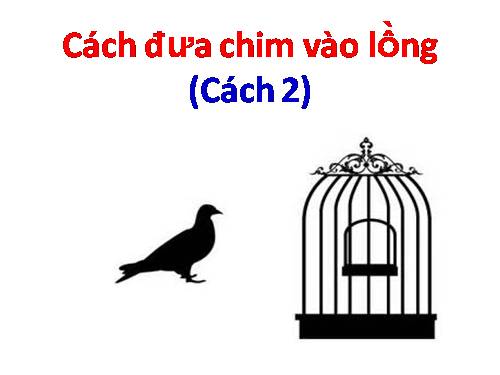 CÁCH ĐƯA CHIM VÀO LỒNG (TT)