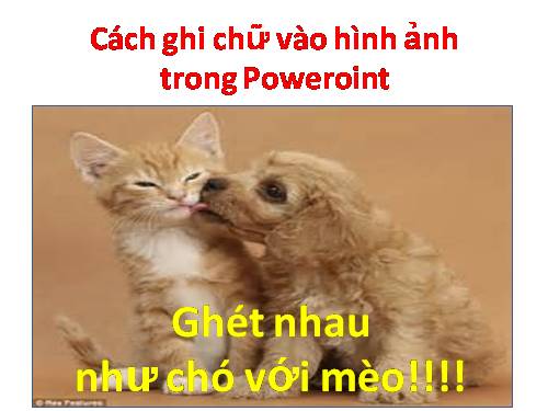 CÁCH GHI CHỮ VÀO HÌNH TRONG POWERPOINT