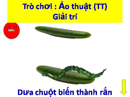 Trò chơi ảo thuật: GẬY BIẾN THÀNH RẮN