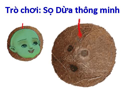 TRÒ CHƠI: SỌ DỪA THÔNG MINH