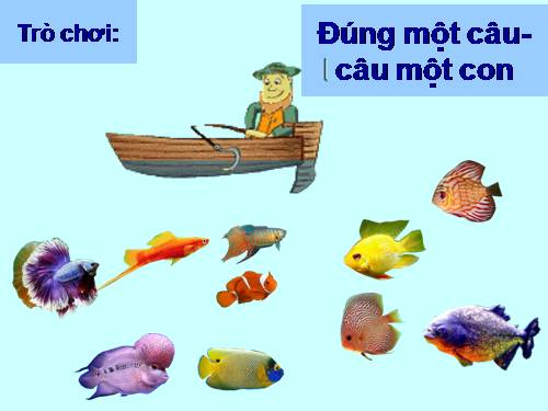 TRÒ CHƠI: ĐÚNG MỘT CÂU - CÂU MỘT CON