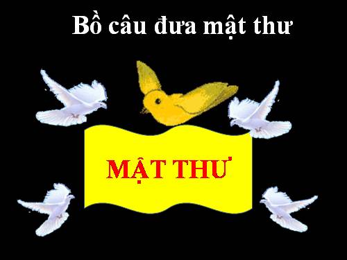 TRÒ CHƠI: BỒ CÂU ĐƯA MẬT THƯ