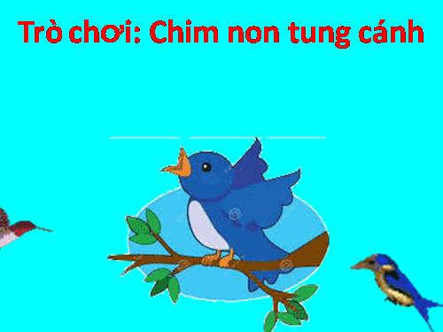 TRÒ CHƠI : CHIM NON TUNG CÁNH