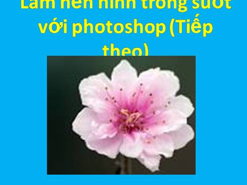 LÀM NỀN HÌNH TRONG SUỐT (TIẾP THEO)