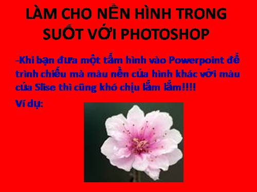 Làm nền hình trong suốt với Photoshop