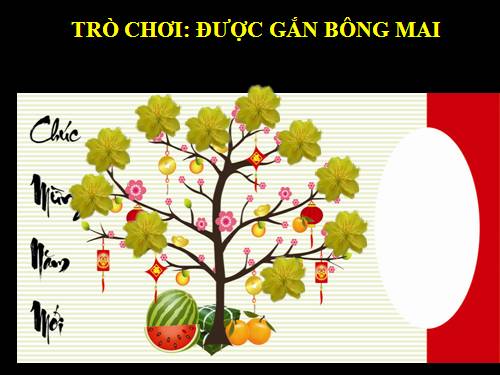 TRÒ CHƠI GẮN HOA MAI