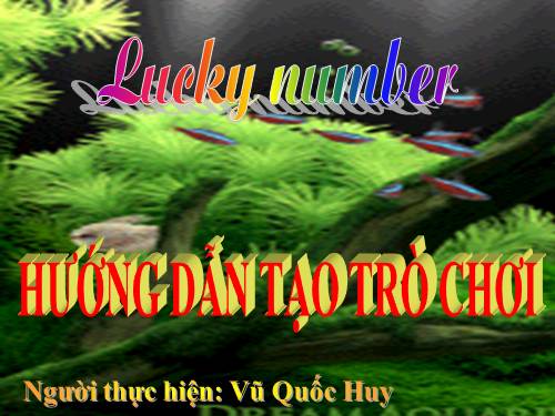 hướng dẫn làm lucky number