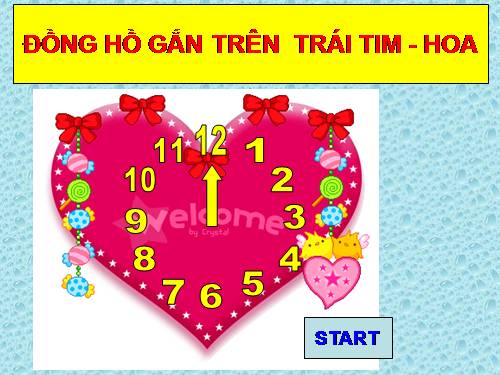 Đồng Hồ trên Con Tim - Bông Hoa