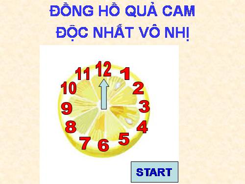 ĐỒNG HỒ QUẢ CAM ĐỘC NHẤT VÔ NHỊ