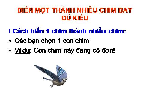 BIẾN MỘT THANH NHIỀU CHIM BAY ĐỦ KIỂU