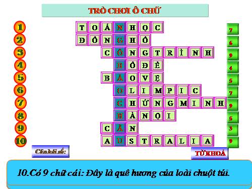 Trò chơi ô chữ