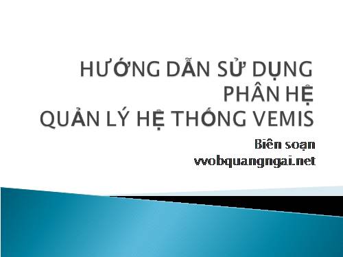 Hướng dẫn sử dụng phân hệ quản lý hệ thống Vmis