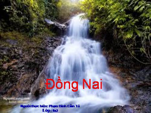 Đồng Nai