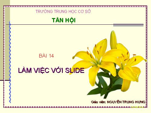 Bai14_Lam_viec_voi_Slide_trong_PP_2003