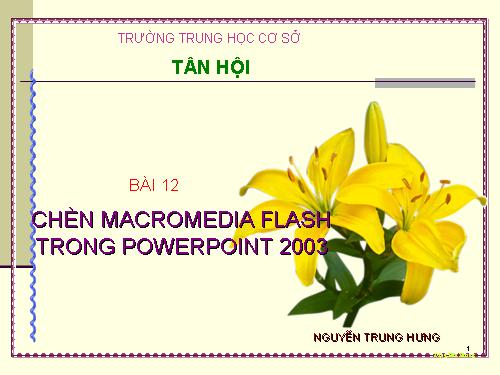 Bai13_Chen MacroMedia Flash trong PP 2003