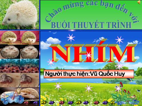 Thuyết trình NHÍM