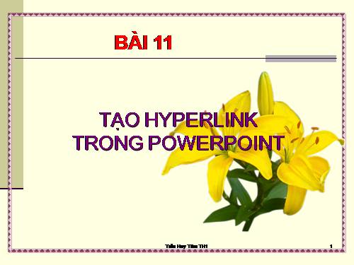 Hướng dân học  PowerPoint bài 11