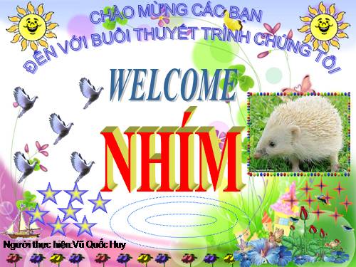 BÀI THUYẾT TRÌNH NHÍM