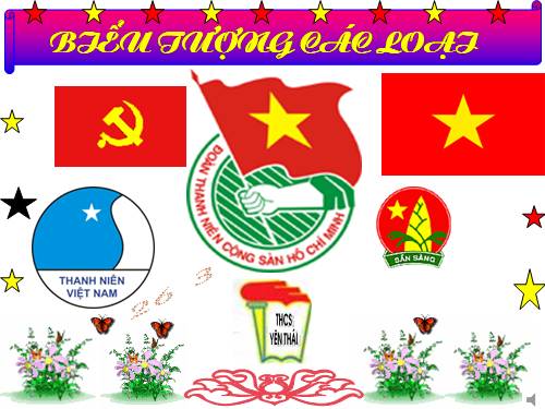 hình đẹp