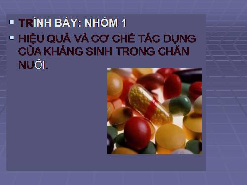 bài về hiệu quả và tác dụng của kháng sinh trong chăn nuôi