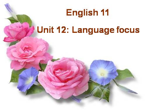 English 11 Unit 12 Language Focus