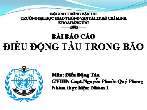 điều động tàu trong bão