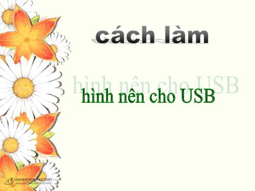 cách làm hình nền USB