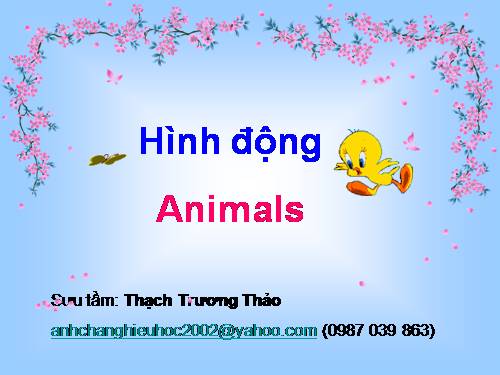 hình động