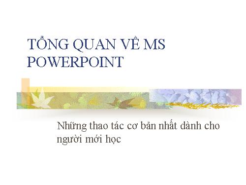 hướng dẫn sử dụng PPT