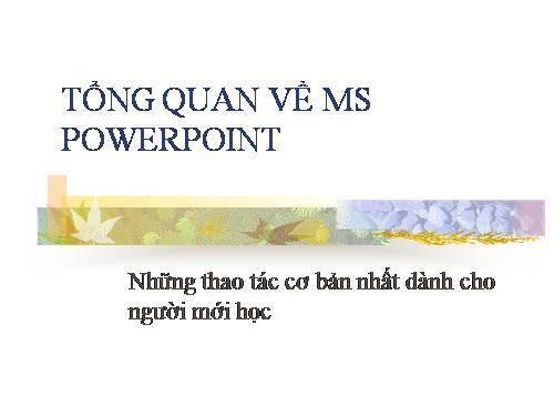 hướng dẫn sử dụng PPT