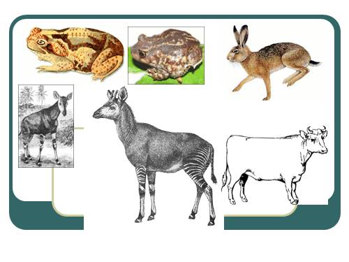 ClipArt chèn vào PPT8