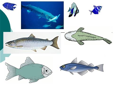 ClipArt chèn vào PPT3